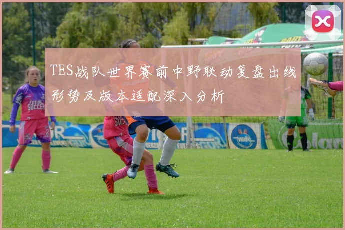 TES战队世界赛前中野联动复盘出线形势及版本适配深入分析